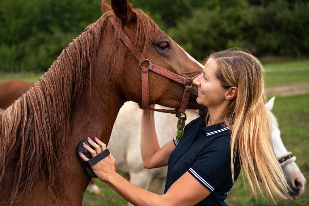 Equine Veterinarian Woodinville, WA Equine Veterinarian Woodinville, WA