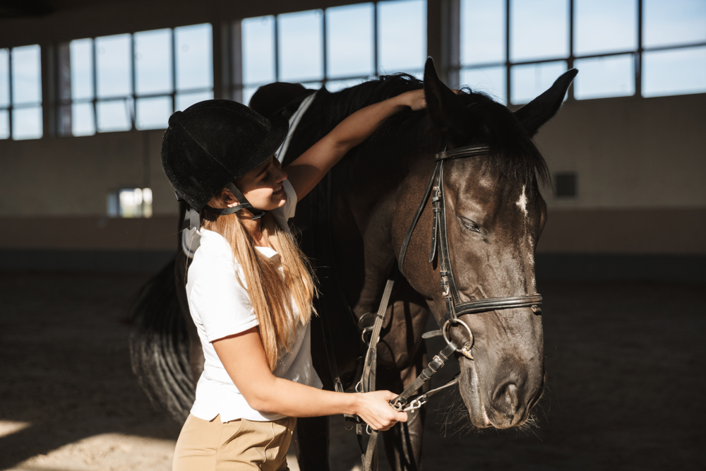 Equine Veterinarian Woodinville, WA Equine Veterinarian Woodinville, WA